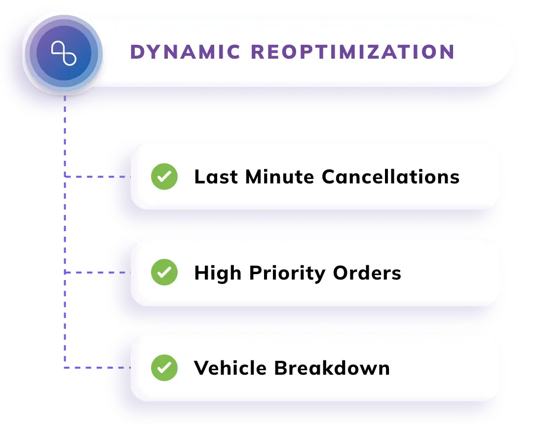 dynamic reoptimization