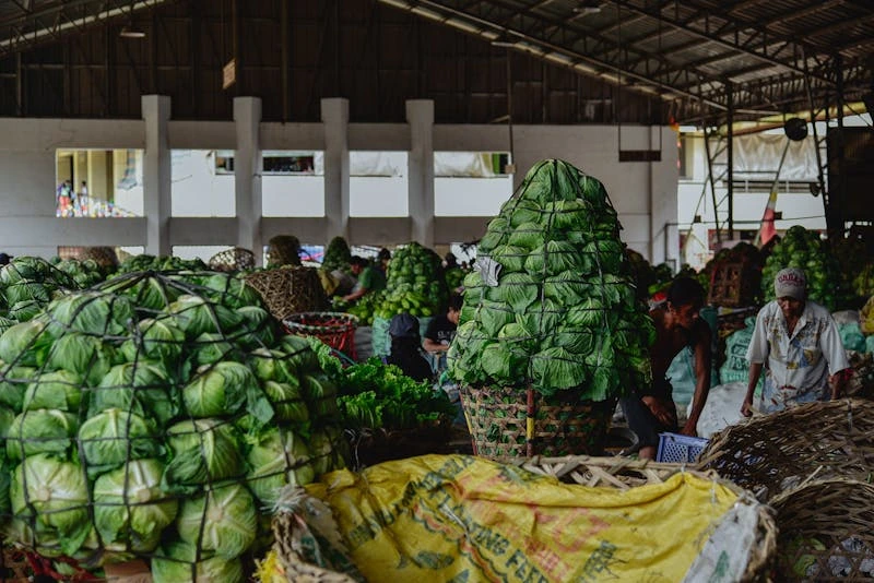 Agricultural Produce Distribution