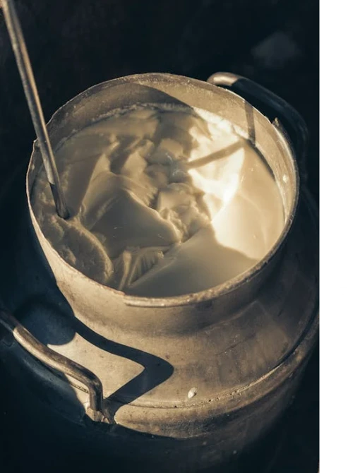 dairy and farming